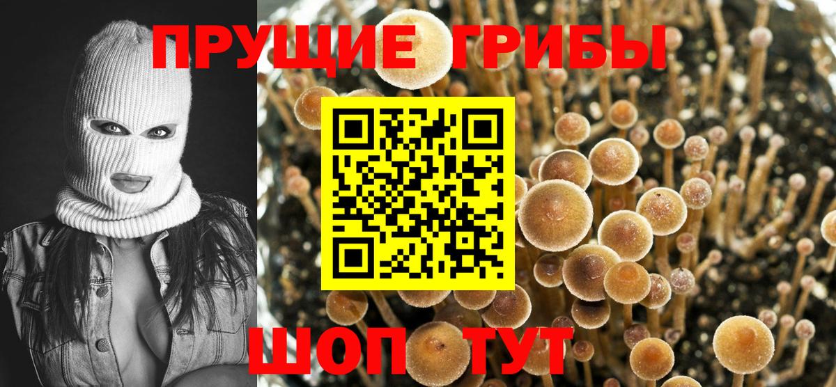 Галлюциногенные грибы MAGIC MUSHROOMS  Вход с VPN  что такое   Кириши  Псилоцибиновые грибы Magic Shrooms 