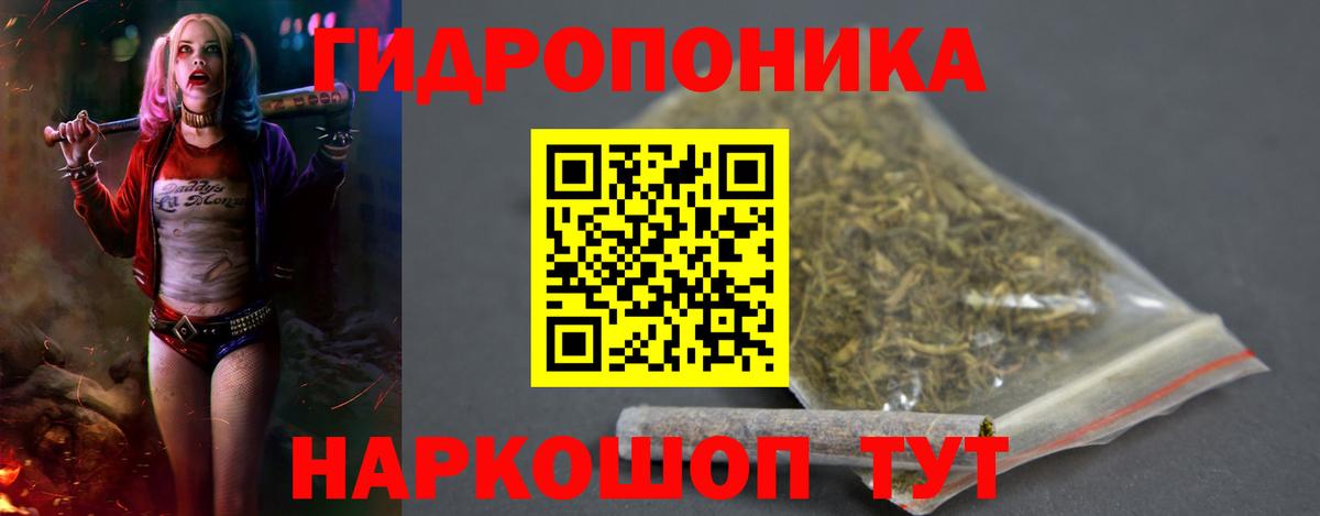 Каннабис индика  Каннабис планчик  Бошки марихуана тримм  Кириши  Вход с VPN 